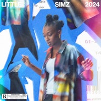 the cover of the album little simz